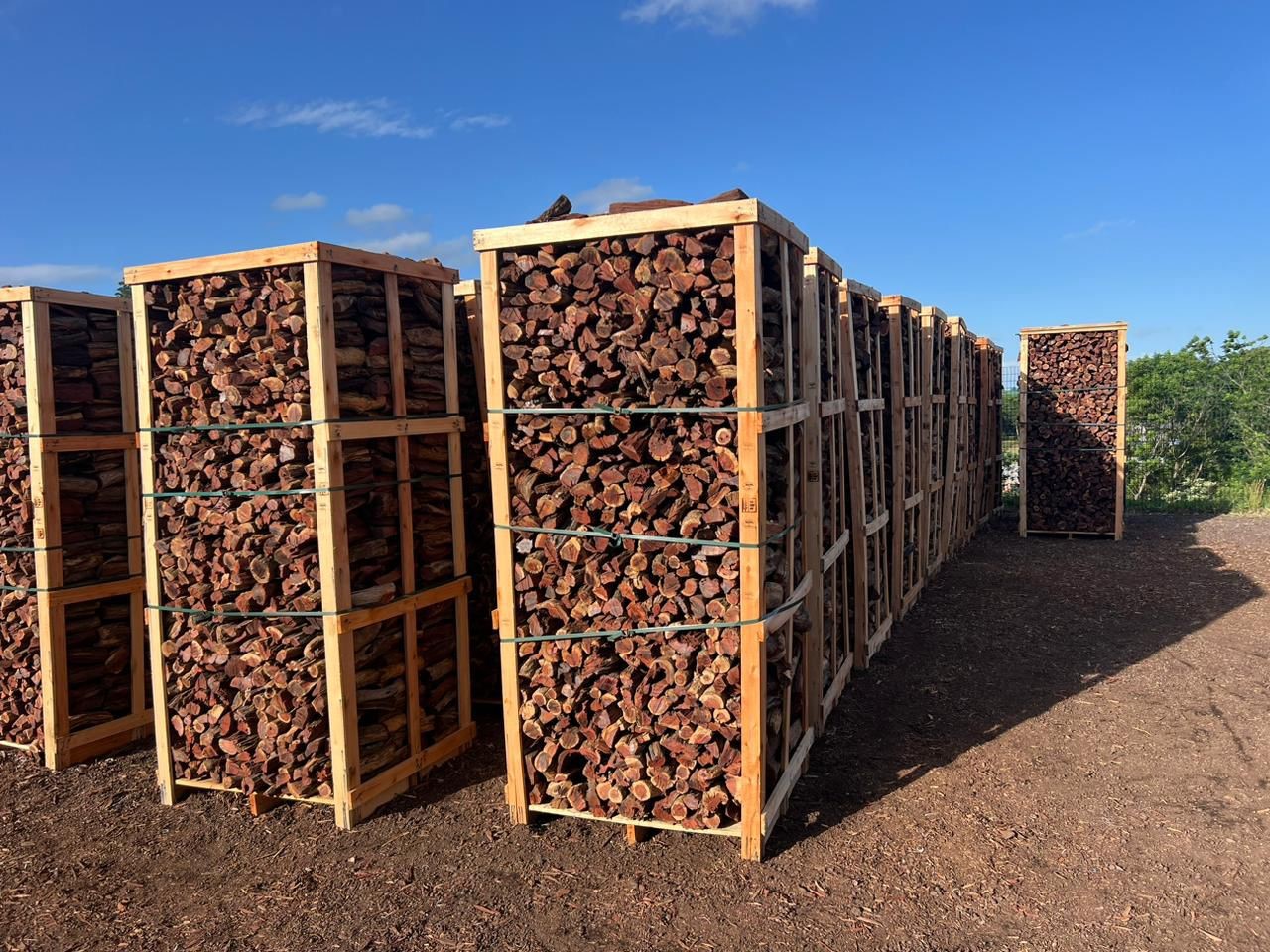 Stored Kameeldoring firewood in export pallets